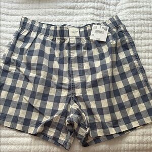 Hollister Blue and White Bermuda Shorts Classic Gingham